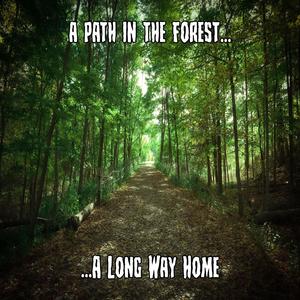 ...A Long Way Home