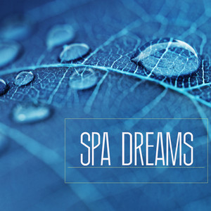 Spa Dreams - Music for Spa Breaks, Wellness Centers and Massage Background Songs