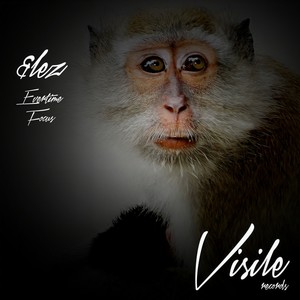 Focus (Original Mix)