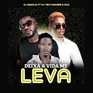 Deixa a vida me leva