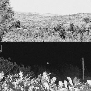 Ahmad Also Impressed Me