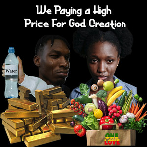 We Paying a High Price for God Creation