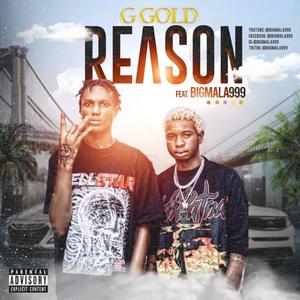 Reason (feat. BIGMALA999)