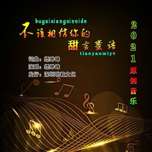 不该相信你的甜言蜜语