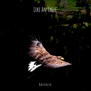Like an Eagle