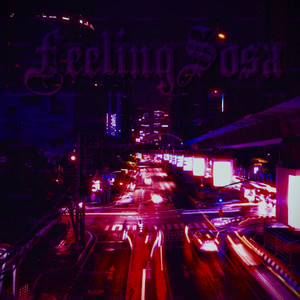 Feelingsosa (Explicit)