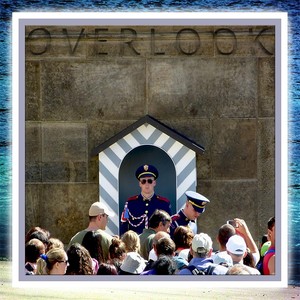 Paloma(feat. Javier Tellez, Angel Galvez & Josu Erviti)