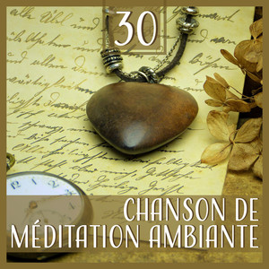 30 Chanson de méditation ambiante: Musique de relaxation essentielle, Sérénité ambiante, Eau & Rain drop sounds, Esprit clair avec la nature