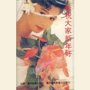 杨钰莹《新春佳节》[MP3_LRC]_MP3免费下载