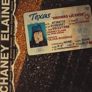 drivers license (feat. Ryan Sword) [Explicit]