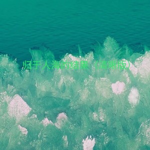 归于人海的结果 (清晰版)