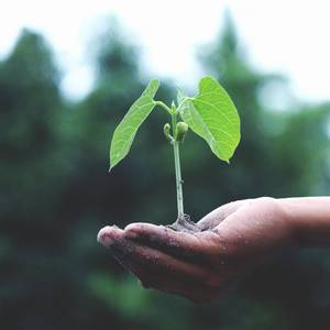 Humming sounds of mother's womb for babies deep sleep