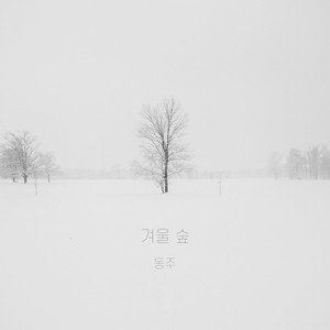 겨울 숲 (winter forest) (冬天的丛林)