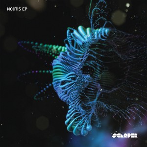 Noctis EP