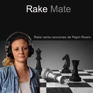 Rake Mate