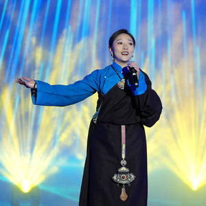 格桑花封面