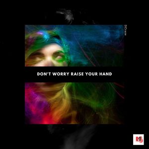 Don't Worry Raise Your Hand (Original Mix)