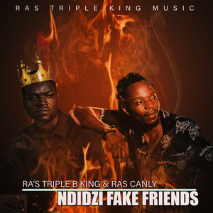 Ndidzi Fake Friends