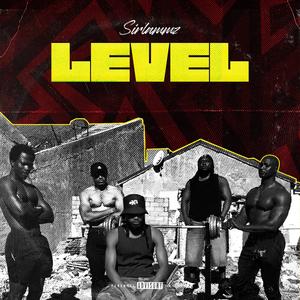 Level (Explicit)