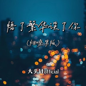 大头针 Official - 悟了繁华误了你 (烟嗓男版)