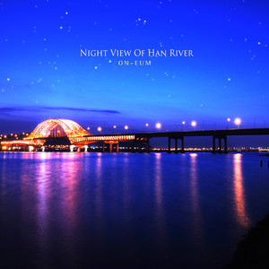 한강의 야경 (Night View Of Han River)