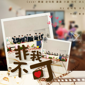 非我不可