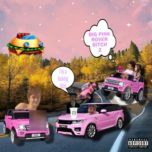 BIG PINK ROVER ***** 2 (feat. Syd The Sloth, Lil Dick Nigga Toaster, Lil Broc, Hawk Tuah Hayloe, Double BB & Lil Queef) [Explicit]