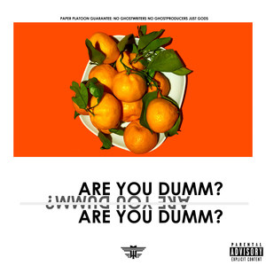 Are You Dumm? (Explicit)