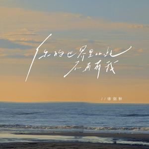 徐剑秋 - 你的世界里从此不再有我