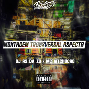 MONTAGEM TRANSVERSAL ASPECTA (Explicit)