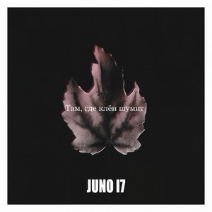 Там, где клён шумит