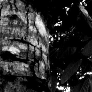 Back(feat. Saidur Rahman)