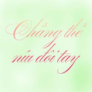 Chẳng thể níu đôi tay (Bí Đỏ ft. Đức Anh ver)