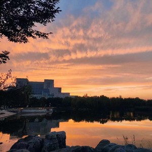 LikeX (待删版本)