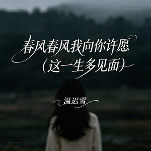 春风春风我向你许愿 (这一生多见面)封面