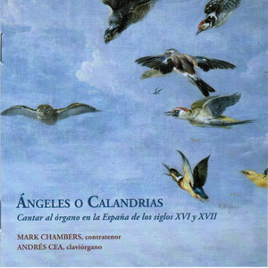 Dilectus Tuus - 2ª Parts (Versión ornamentada según Bovicelli|1594)