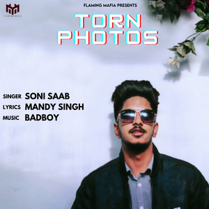 Torn Photos - Single