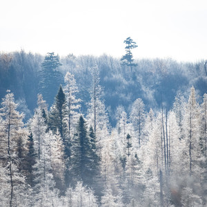 here's a toast (Explicit)