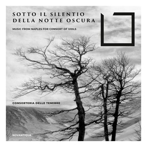 Sotto Il Silentio Della Notte Oscura (Music from Naples for Consort of Viols)