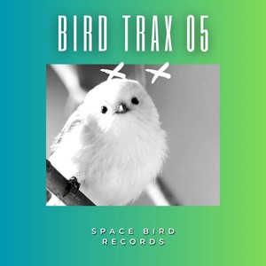 Bird Trax 05