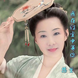 我在红尘中等你