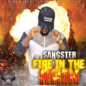 Fire In The Rain