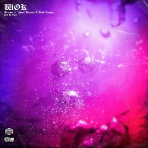 WOK(feat. $aint Vincent & Xeno Carter) (Explicit)