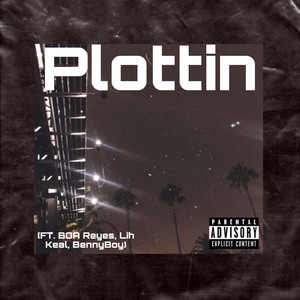 Plottin (Explicit)