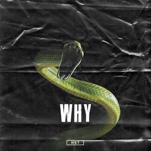 Why (Explicit)