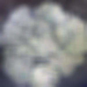 Holding back (feat. Kbeezy) (Explicit)