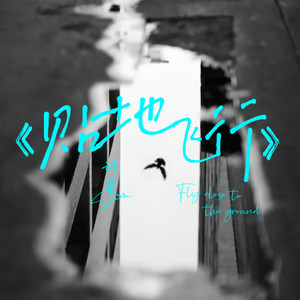 贴地飞行 DJ (Remix)