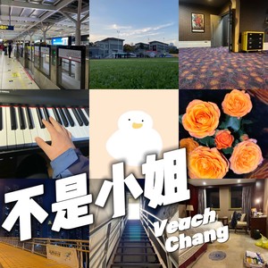 不是小姐 (Demo)
