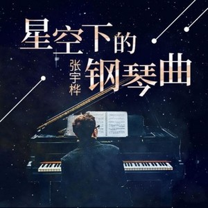 【全集】星空下的钢琴曲