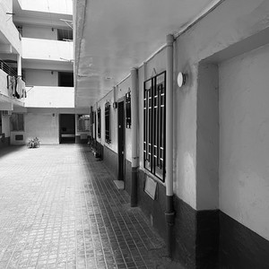 Y sin embargo te quiero